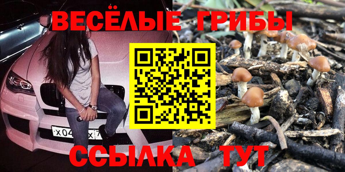 Псилоцибиновые грибы Magic Shrooms Бахчисарай